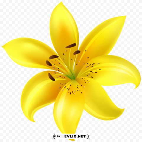 yellow flower PNG transparent pictures for editing