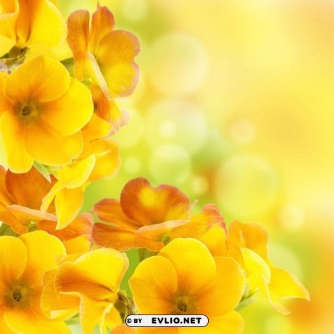 Yellow Iris Clean Background Isolated PNG Art