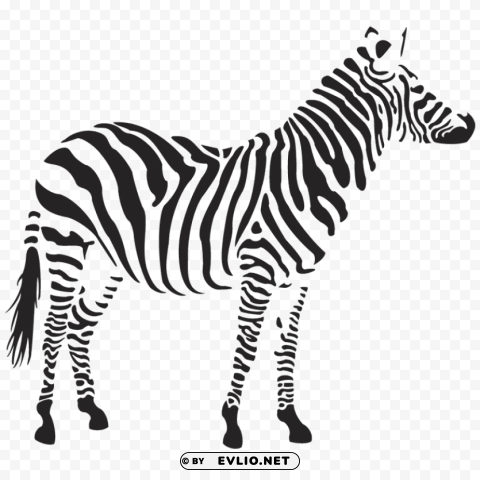 zebra HighResolution PNG Isolated Illustration