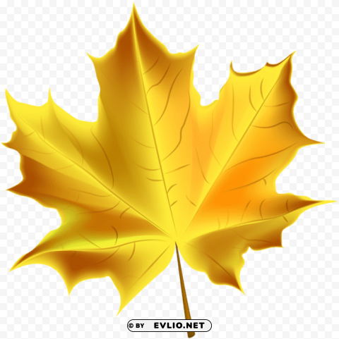 beautiful yellow autumn leaf PNG Image with Transparent Isolated Graphic Element