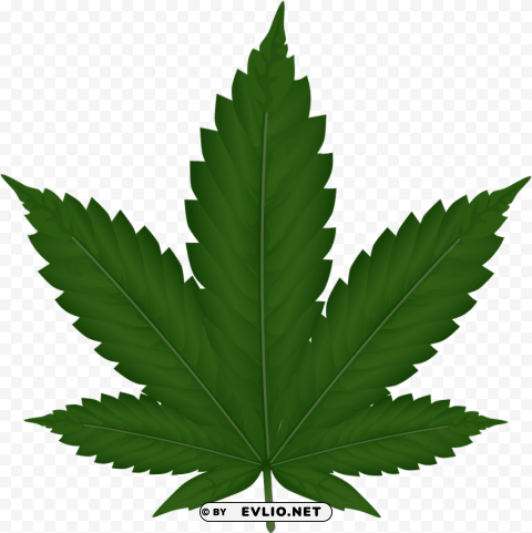 cannabis Transparent Background Isolated PNG Icon