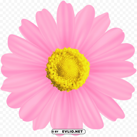 flower pink decorative PNG Graphic Isolated on Clear Background Detail