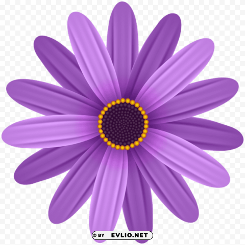 Purple Flower PNG Image Isolated With Transparent Detail