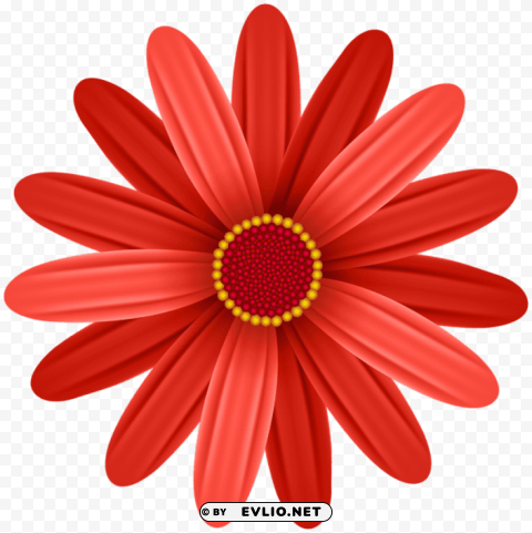 Red Flower Transparent PNG Image Isolated With Transparency