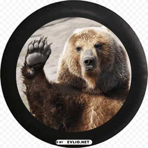 bear waving High-resolution transparent PNG images comprehensive assortment