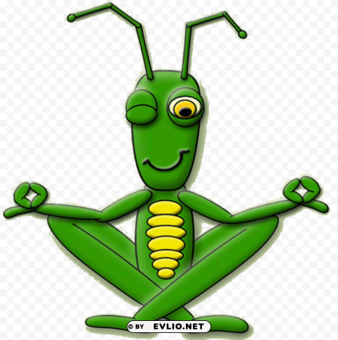 Cricket Insect Clipart PNG Graphic Isolated On Transparent Background