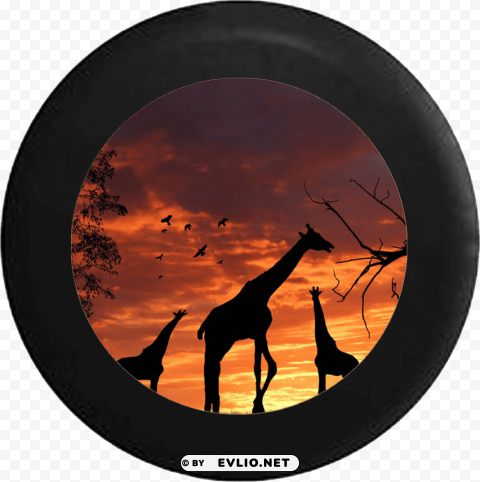 desktop backgrounds with giraffes High-definition transparent PNG