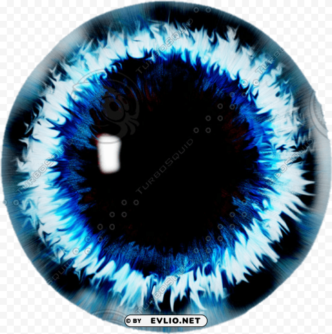 eye Isolated Element on Transparent PNG PNG transparent with Clear Background ID 91c9f9a0