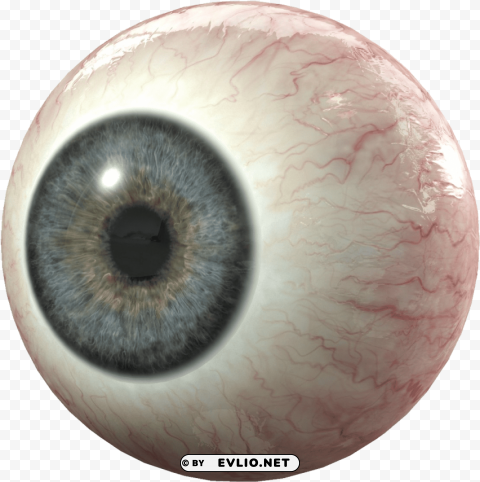 Eye 3d Model Isolated Character With Clear Background PNG