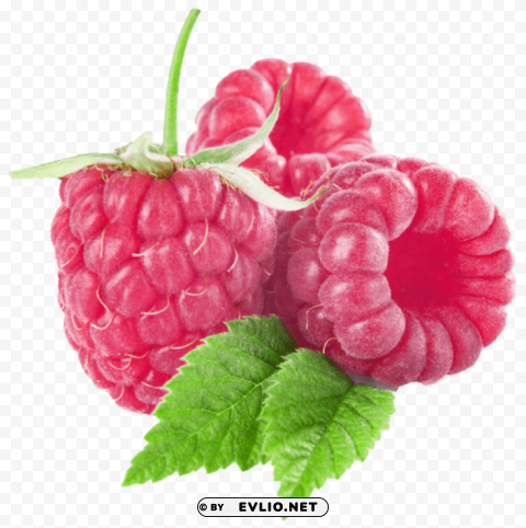 large raspberries PNG transparent backgrounds