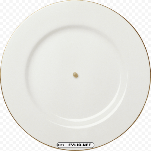 Plate PNG With No Background Diverse Variety