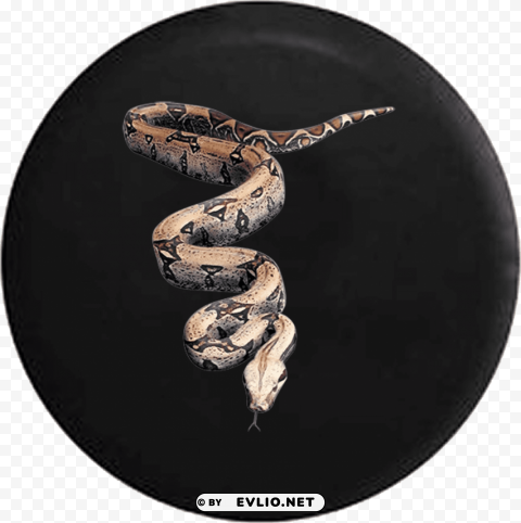 snakes High-resolution transparent PNG images