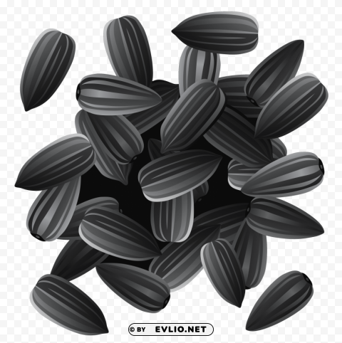 sunflower seeds Clean Background Isolated PNG Design