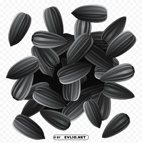 sunflower seeds PNG transparent graphic