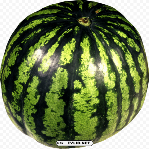 watermelon HighResolution Transparent PNG Isolated Item