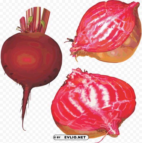 beet High-resolution PNG