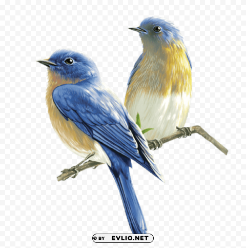 Birds PNG cutout png images background - Image ID e00c9101