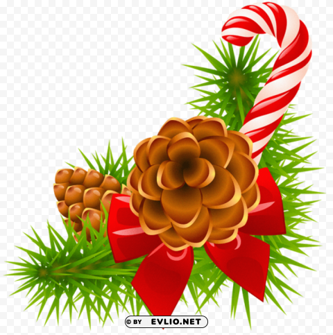 christmas pine branch with cones and candy cane decor PNG images for advertising