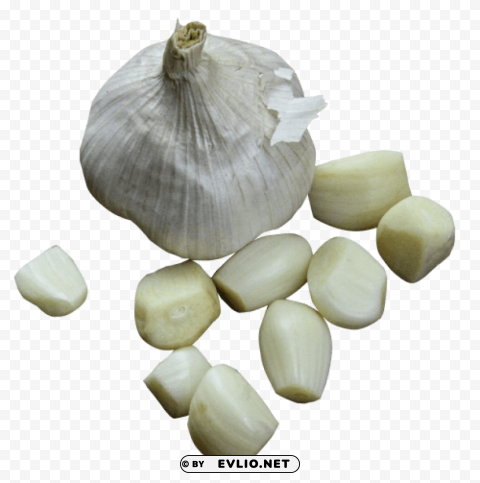 garlic pic Clear PNG pictures assortment