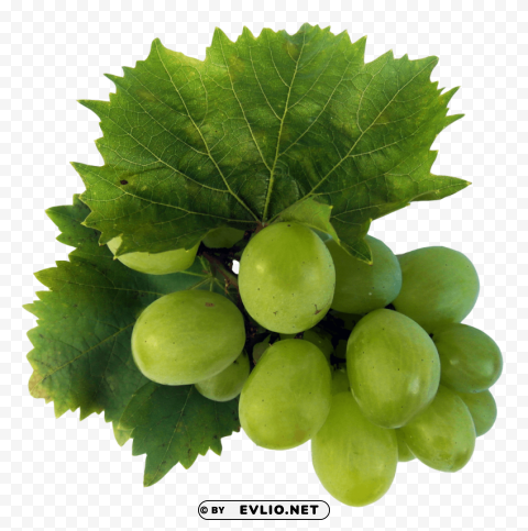 Green Grapes High-resolution transparent PNG images