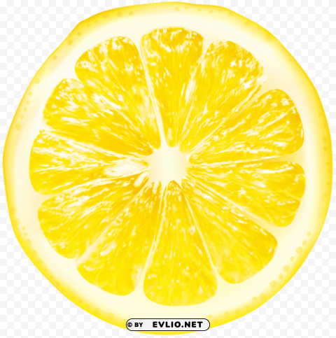 lemon slices Isolated PNG Item in HighResolution
