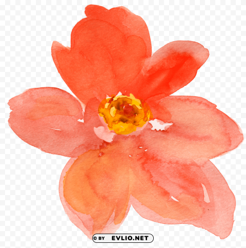 orange flower watercolor Isolated Subject on Clear Background PNG