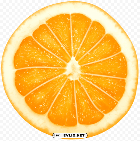 Orange Slice PNG Pictures With No Backdrop Needed