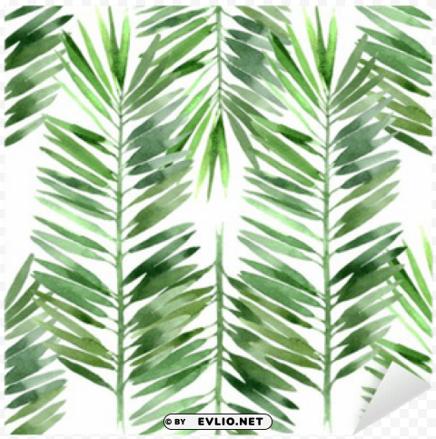 palm tree leaves watercolor HighQuality Transparent PNG Isolated Graphic Element PNG transparent with Clear Background ID fe03bab6