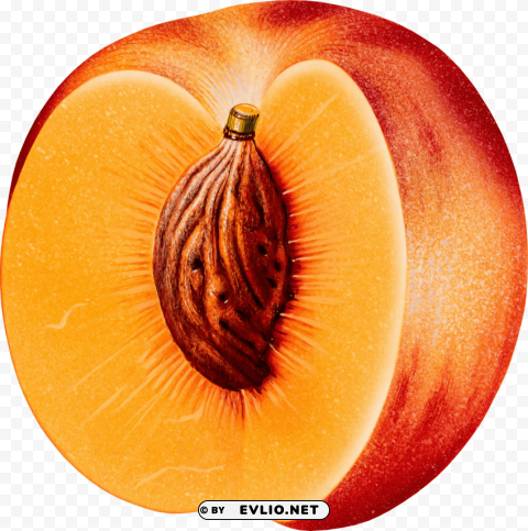 peach Transparent PNG images with high resolution