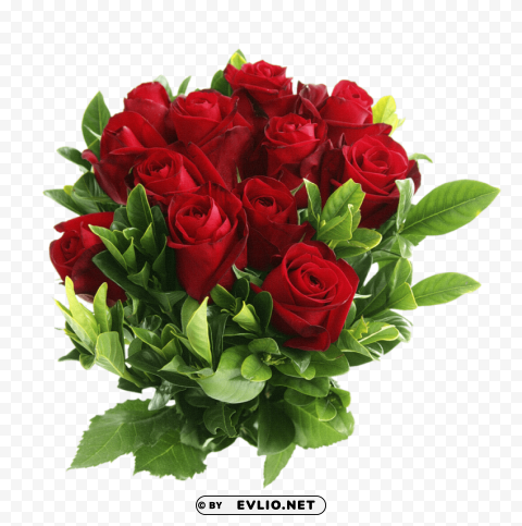 red rose Clear PNG pictures comprehensive bundle