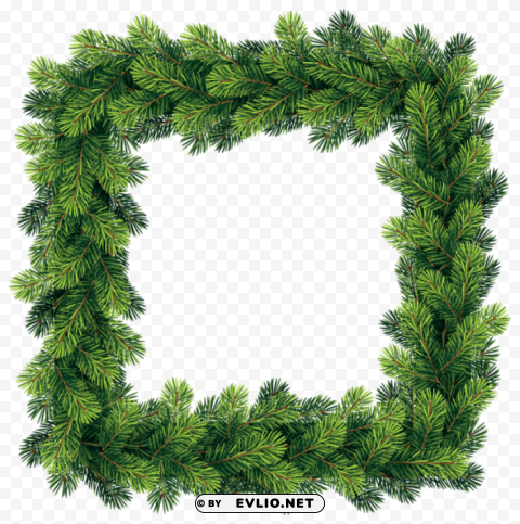 transparent pine border frame Isolated Artwork in HighResolution PNG