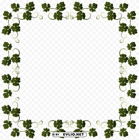 vine border frame Transparent PNG Isolated Subject