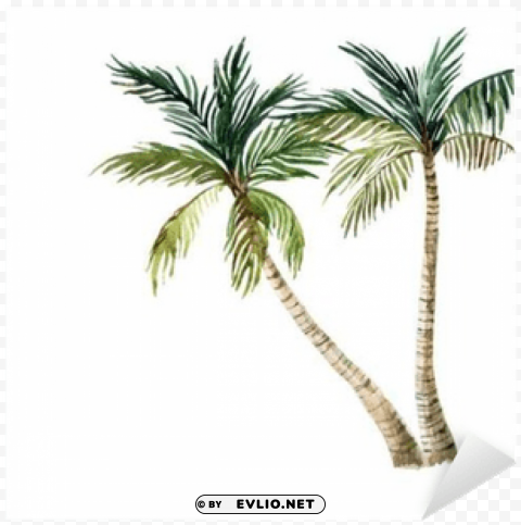 watercolor palm tree High-resolution transparent PNG images