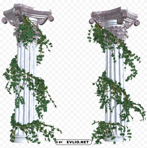 beautiful columns with vines decorative elements PNG transparent photos assortment