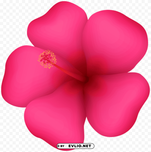 exotic flower PNG transparent icons for web design