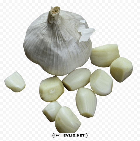 garlic PNG Graphic Isolated on Transparent Background