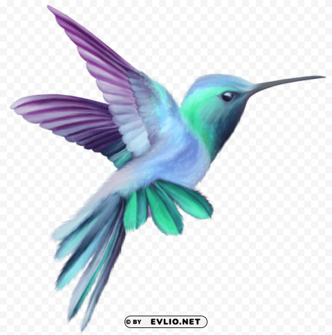 hummingbird transparent High-resolution PNG images with transparency