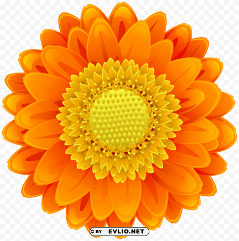 PNG image of orange flower PNG images for banners with a clear background - Image ID c2ff02f6