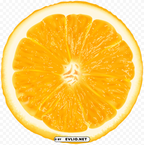 orange slice PNG pics with alpha channel