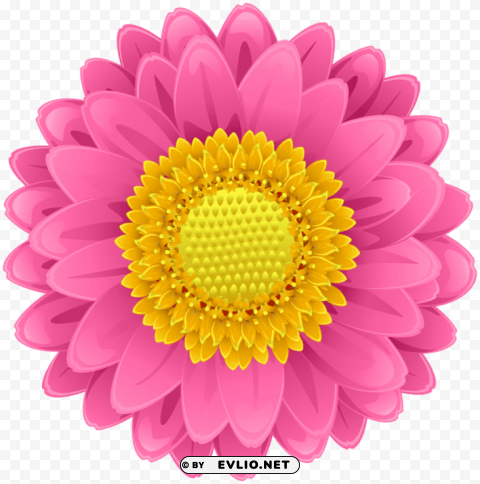 pink flower PNG images for merchandise