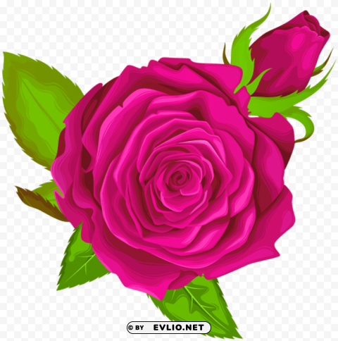PNG image of pink rose decorative Isolated Item on HighQuality PNG with a clear background - Image ID 19909710