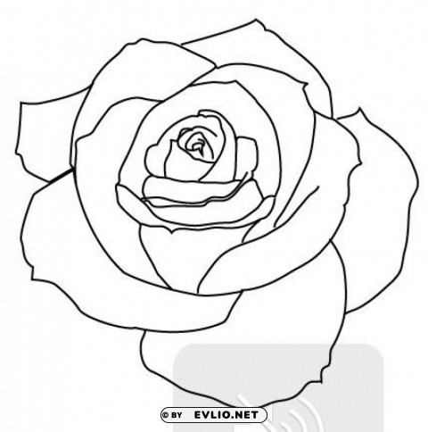  rose outline s Transparent PNG vectors clipart png photo - 7759604c