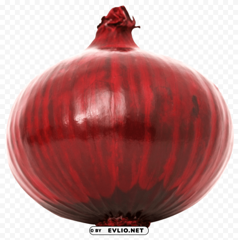 Red Onion PNG design elements