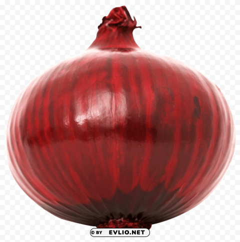 red onion PNG Image Isolated on Transparent Backdrop