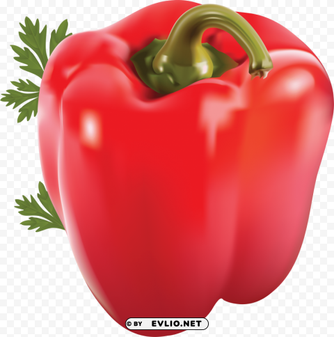 red pepper Isolated Subject in HighQuality Transparent PNG clipart png photo - 488be487