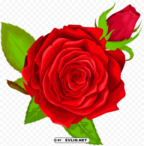 red rose decorative Isolated Item in Transparent PNG Format