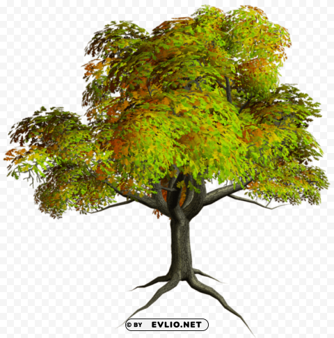 autumn tree PNG Isolated Object on Clear Background