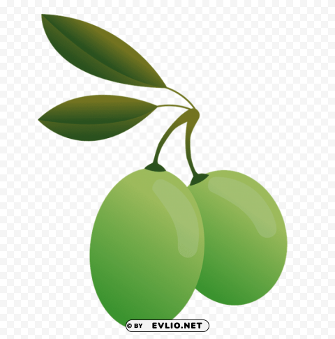 olives PNG files with clear background