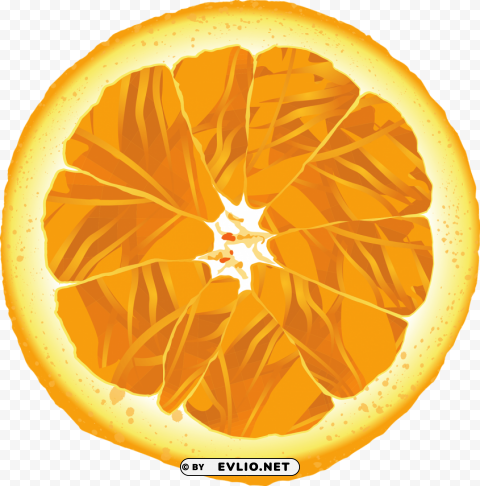 Orange Transparent PNG Image