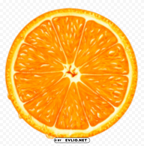 orange slice Isolated Item in HighQuality Transparent PNG